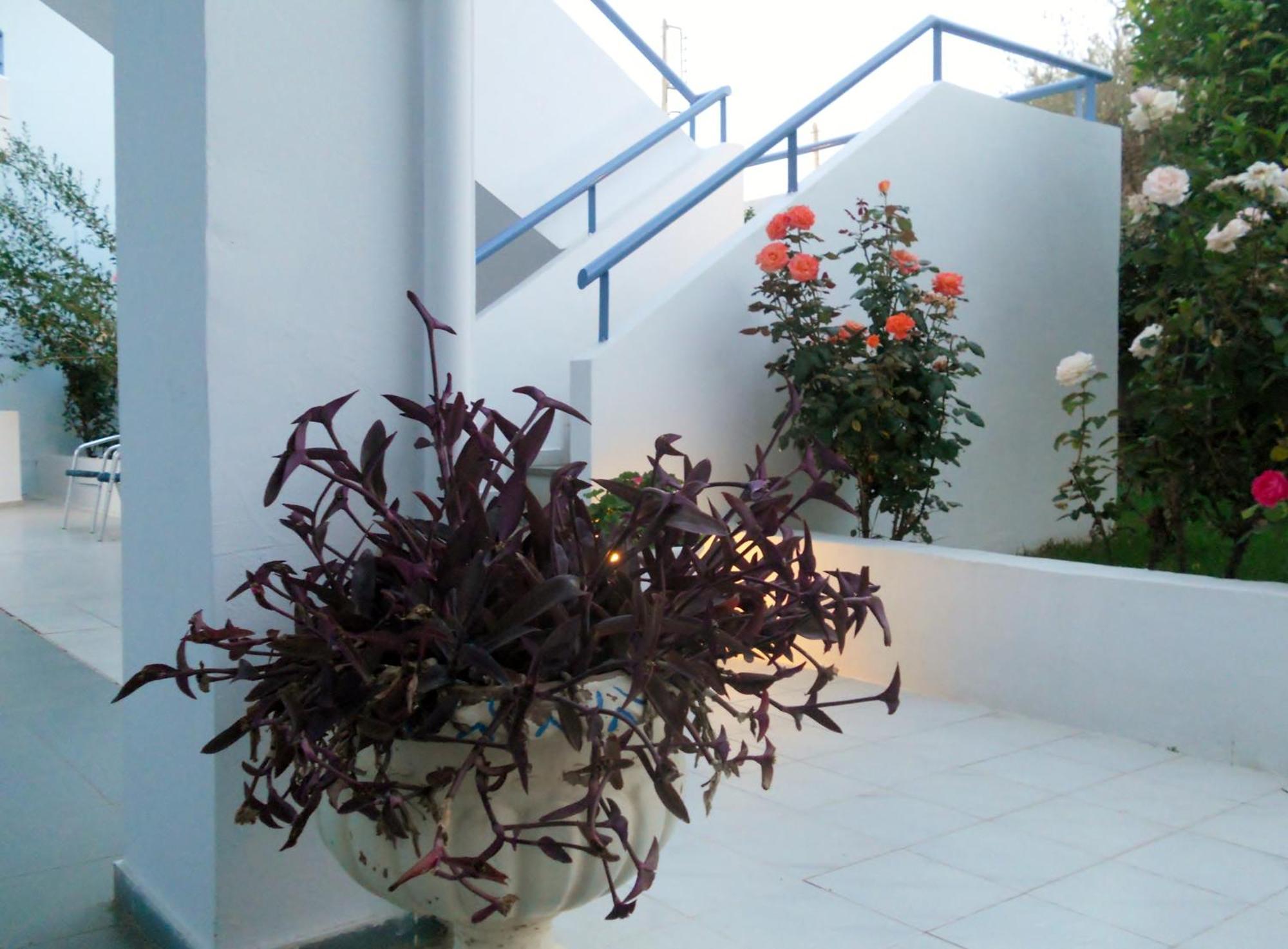 Dimitra Apartment Hotel Skafidia Dış mekan fotoğraf